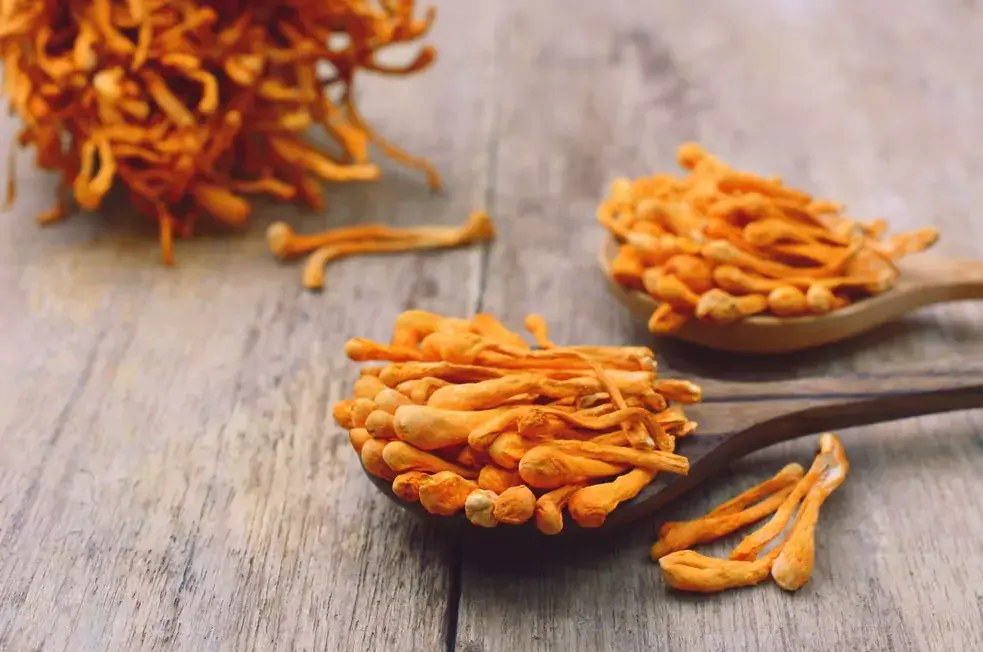The anti-infammatory properties in cordyceps increase athletic performance.