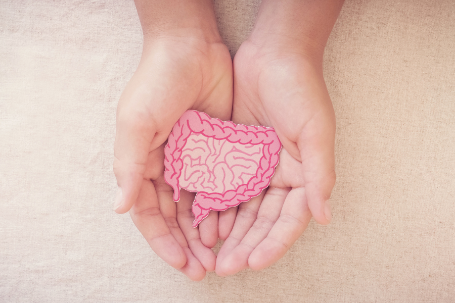 Probiotic Supplements are key in Maintaining a Healthy Gut.