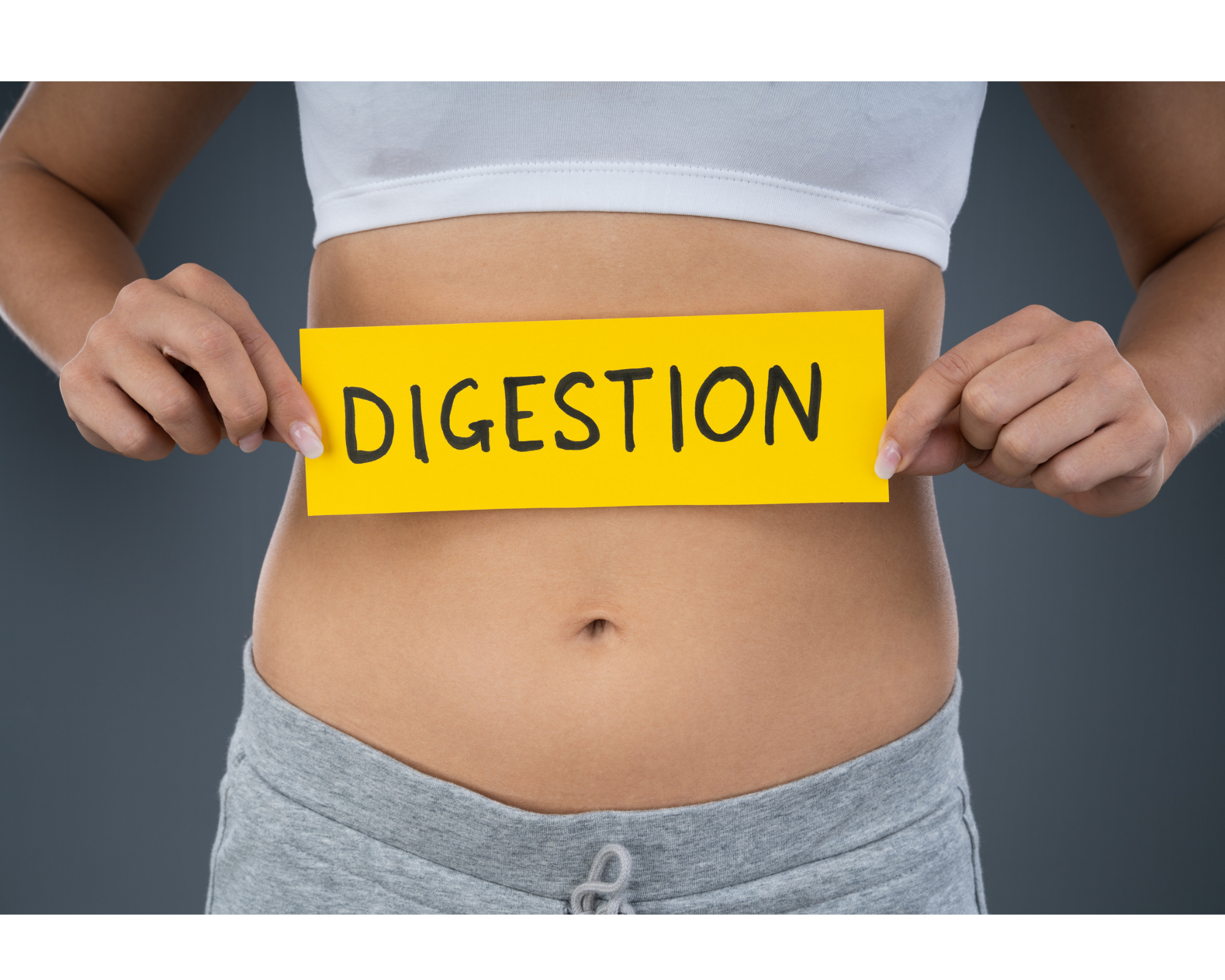 Digestion is the breakdown of large insoluble food molecules into small water-soluble food molecules.