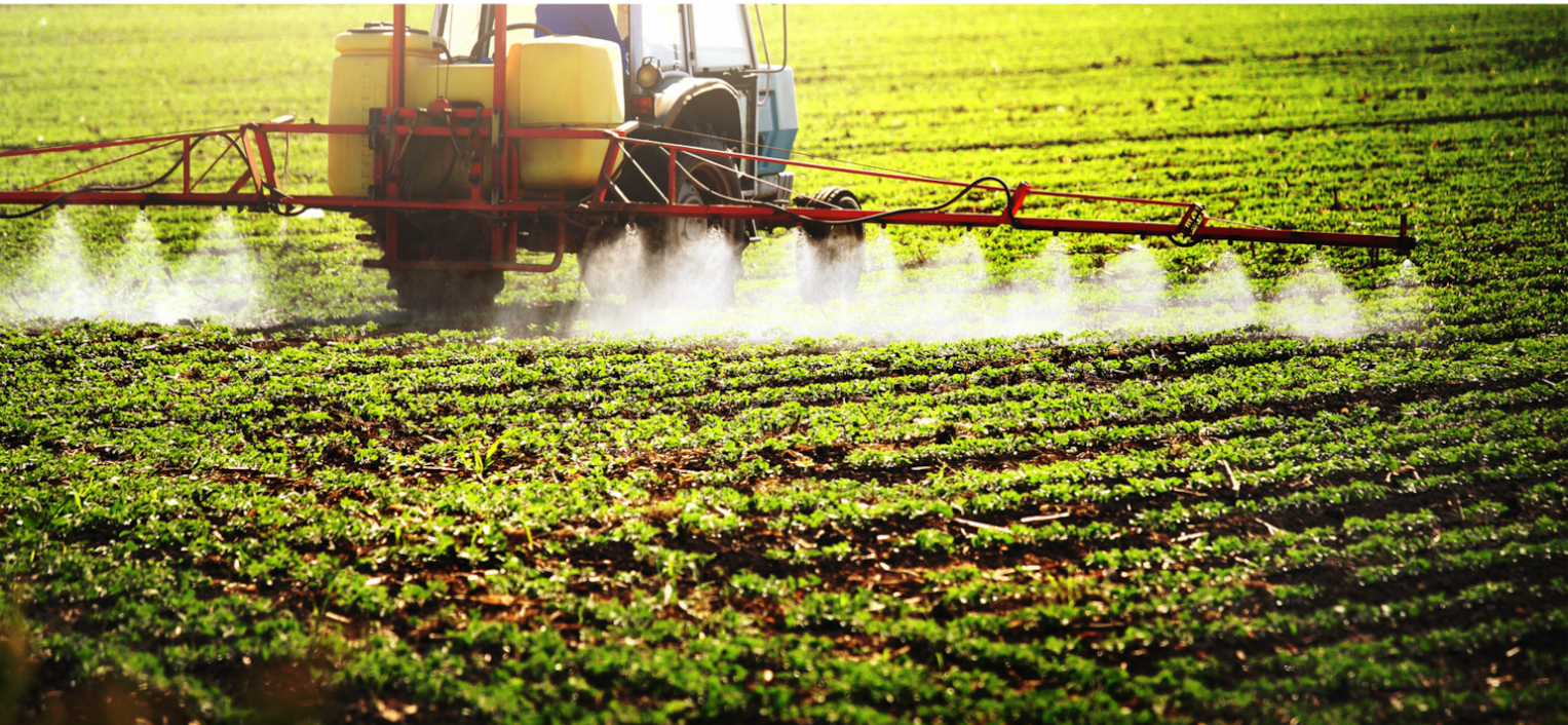 The dirty dozen list is compiled on food products with a high pesticide residue as a result of crop spraying.