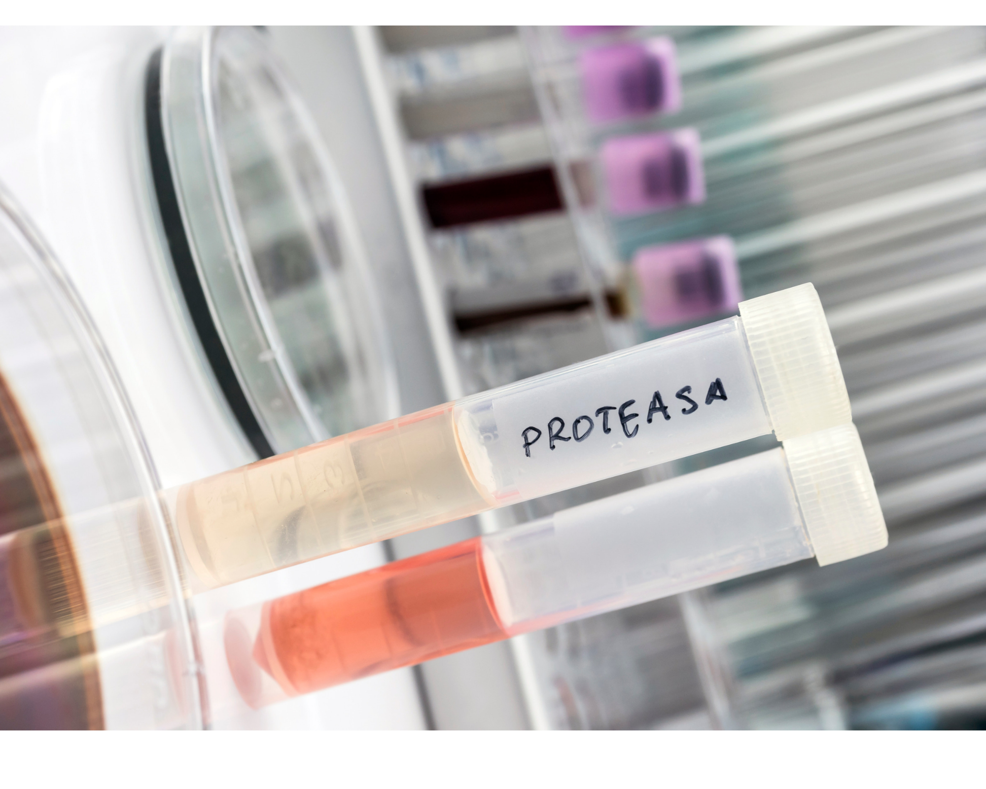 Pretease is a type of digestive enzyme.