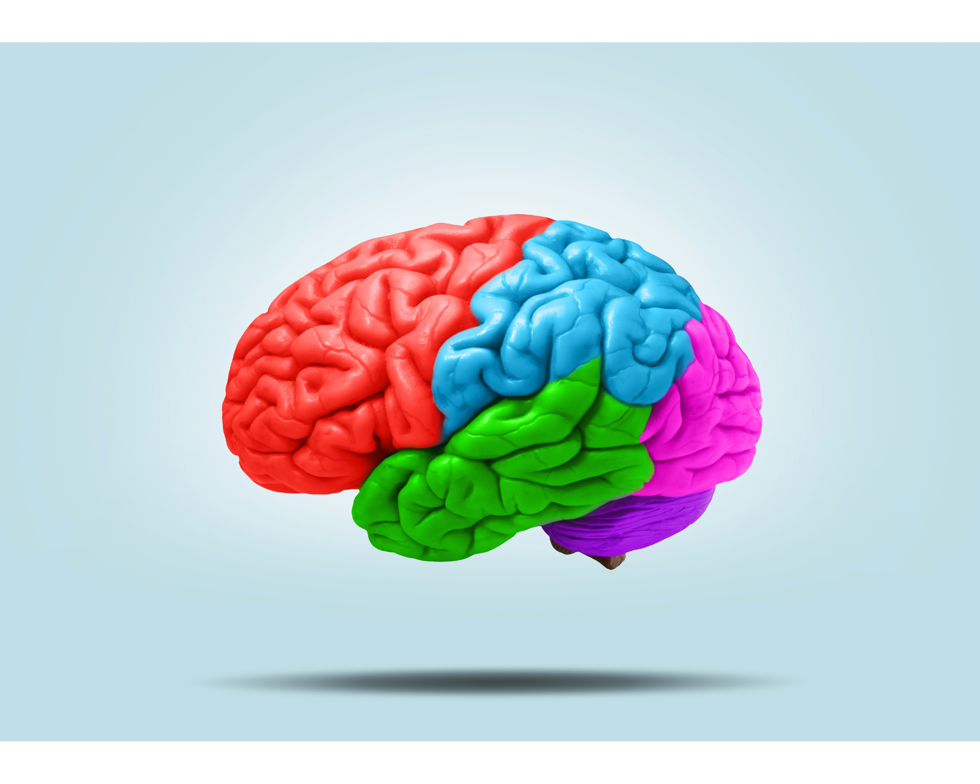 Nootropic Supplements boosts many aspects of the brain.