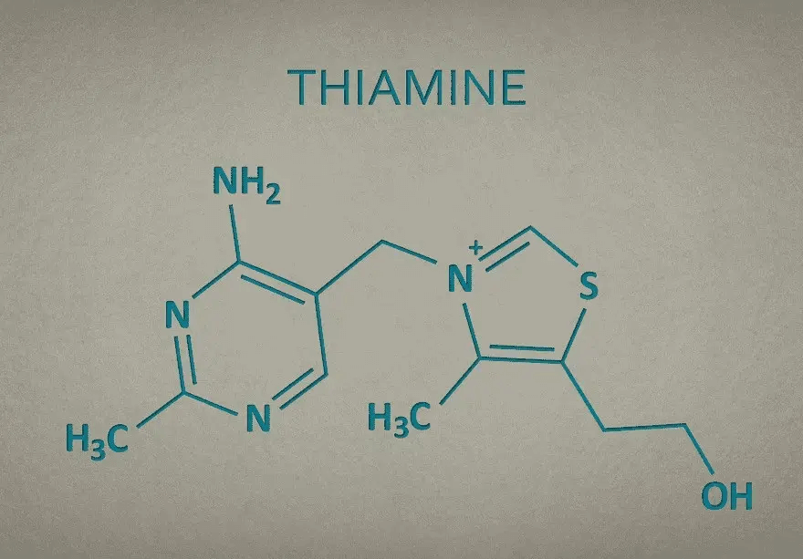 Thiamine is involved in the metabolism of carbohydrates, which is essential for brain health.