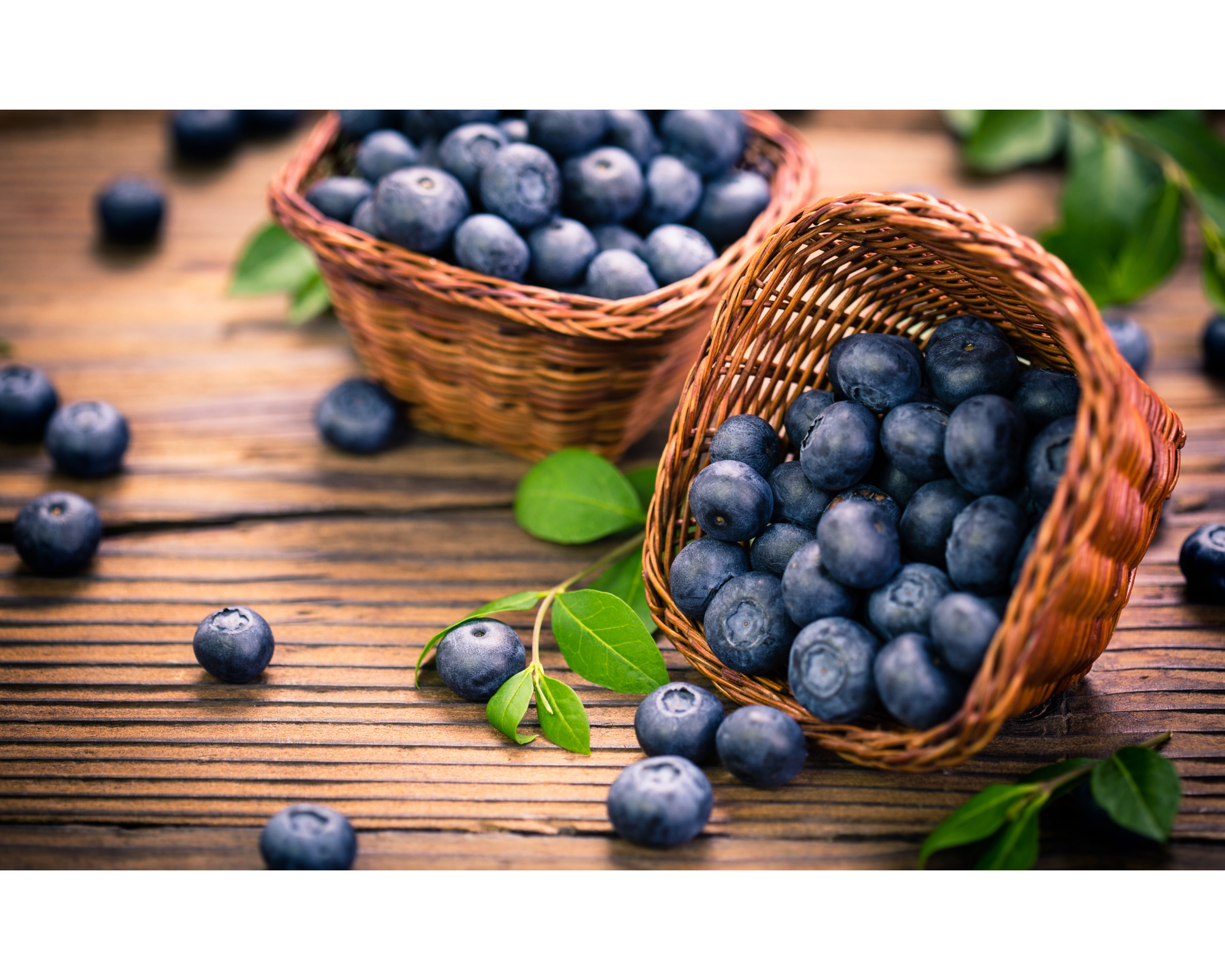 Blueberries are often celebrated as a superfood due to their exceptional nutritional profile.
