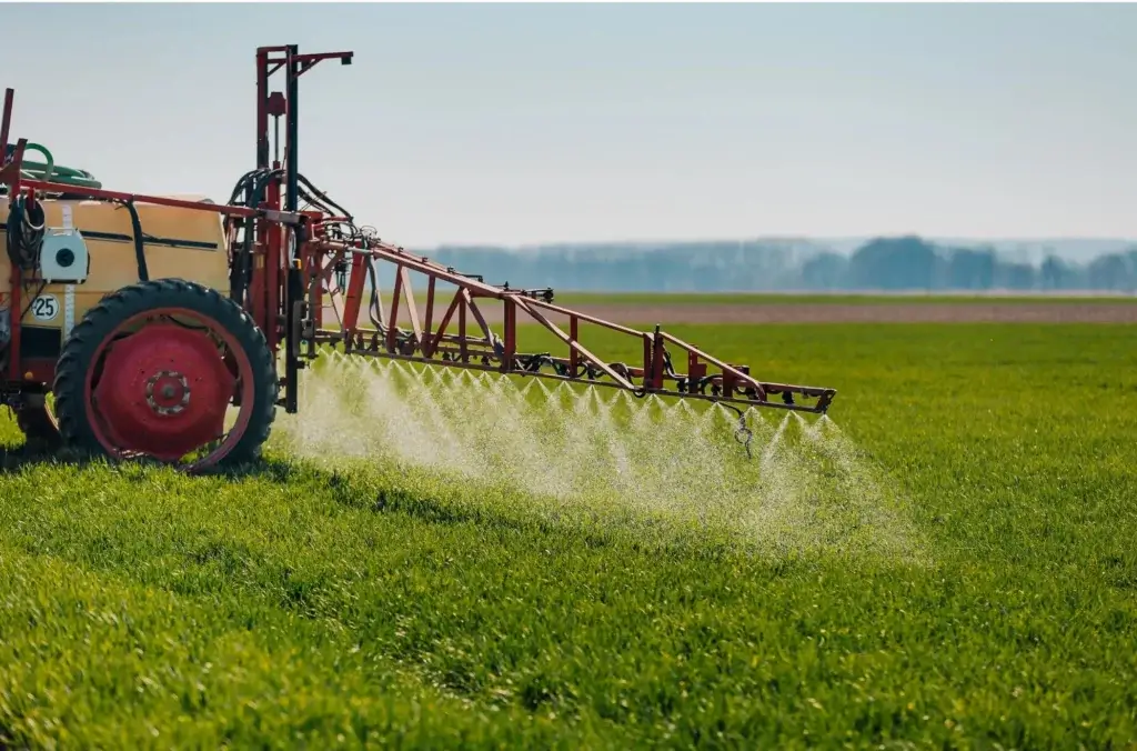 Spraying on crops can cause glyphosate contamination in waterways and impact aquatic ecosystems.